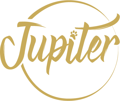 Jupiter, the Brit Cat — official gold logo